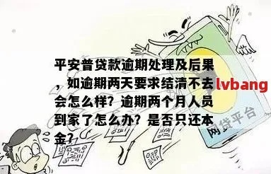 平安贷逾期一年，你的生活将面临哪些风暴？