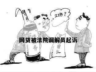 网贷被起诉了，我会遇到调解员吗？