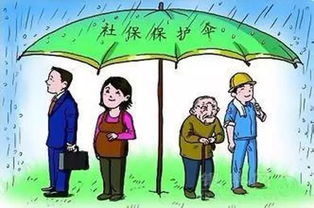 公司不交社保，我该咋办？别慌，律师教你一步步维权！