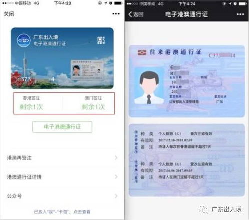港澳通行证过期了怎么办？手把手教你轻松续签！