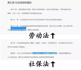 公司不交社保，员工该如何有效投诉？