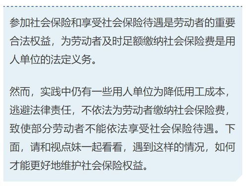 单位可以不交社保？别天真了，法律可不是摆设！