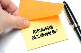 几个月不交社保，您知道会面临什么吗？