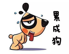哎呀，生活中难免磕磕碰碰，有时候火气一上来，口角就可能升级成肢体冲突。要是双方都动了手，最后发现彼此都受了点轻伤，这时候可真是一个头两个大，到底该怎么办才好呢？别慌，今天咱就好好聊聊这个事儿