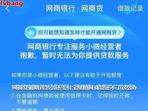 网商贷9万逾期两个月