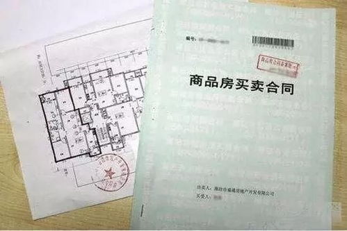 不交社保合同，员工权益何在？