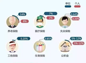 社保交了不交，你真的了解后果吗？