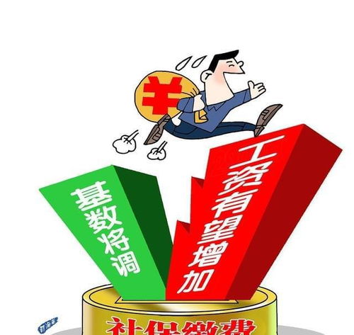 不交社保也能领取养老金？真相让人意外！