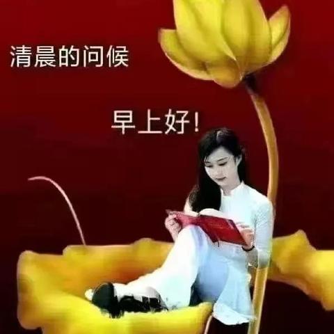 阳光钱袋逾期一年，我的信用记录会永久受损吗？