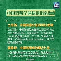 驾驶证被吊销了怎么办？别慌，这份复活指南请收好！