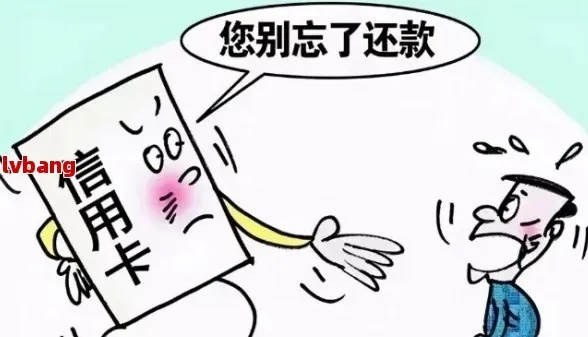 至尊借款逾期1年，你的生活会因此陷入绝境吗？