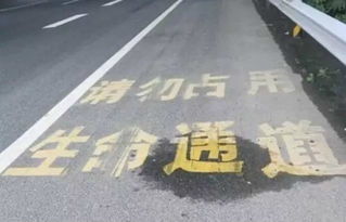 车辆违章怎么查？手把手教你避开罚款陷阱！