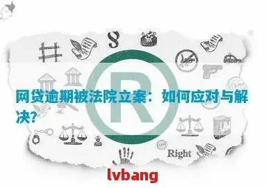 网贷逾期被南平仲裁了怎么办？专业人士教你应对策略！