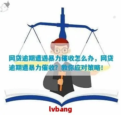 七个网贷全面逾期怎么办？一文教你应对策略！