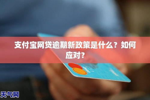 支付宝逾期能不能做网贷