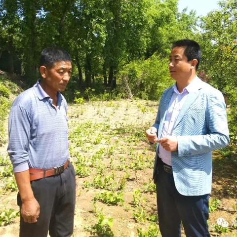 惠民贷逾期一年，你的生活会面临哪些意想不到的连锁反应？