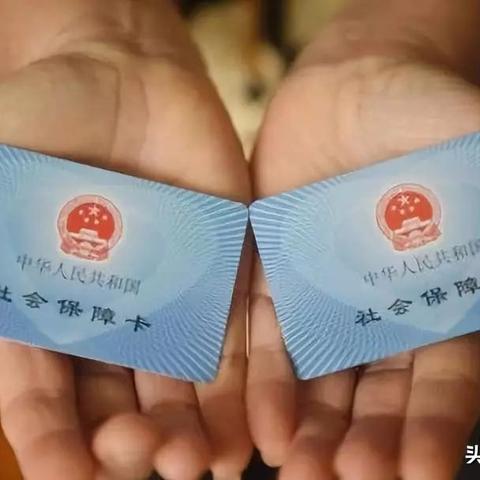 公司不交社保，我该去哪里告？资深律师为你支招