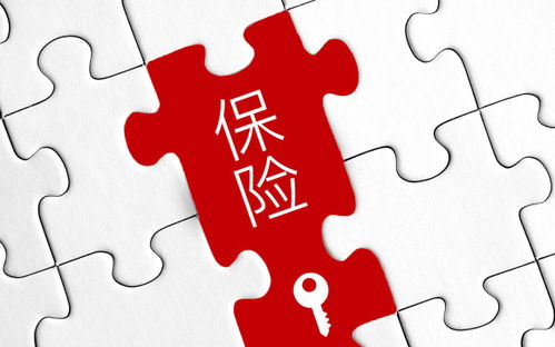 不交社保养老保险，你的未来谁来保障？