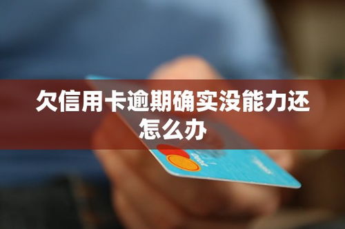 逾期刚好1年，你的债务会面临什么？