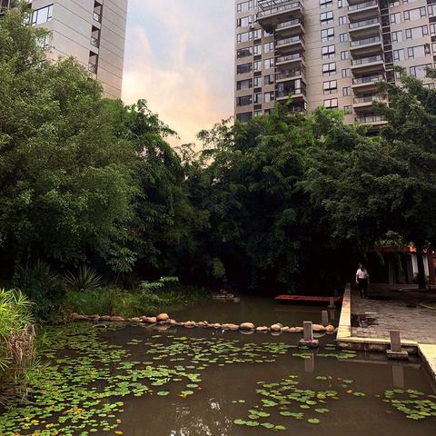 购房逾期一年，你的权益谁来守护？