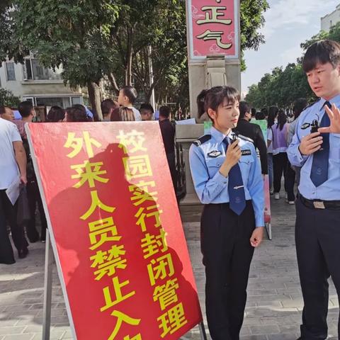 临时牌照办理全攻略，新手司机必看的避坑指南！