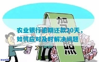农行贷款逾期1年，你的生活会陷入怎样的困境？