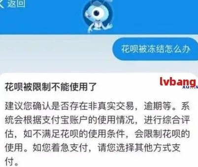 网商贷逾期导致花呗被冻结？一文读懂你的权利与应对策略！