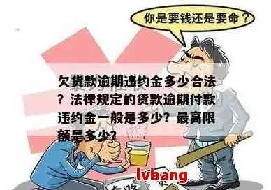 网贷逾期一天罚10块，这钱到底该不该交？