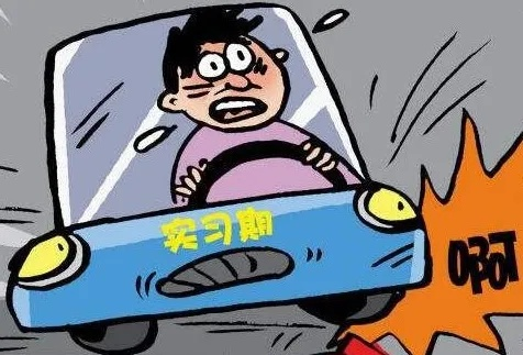 实习期上高速怎么处罚？新手司机必看法律指南