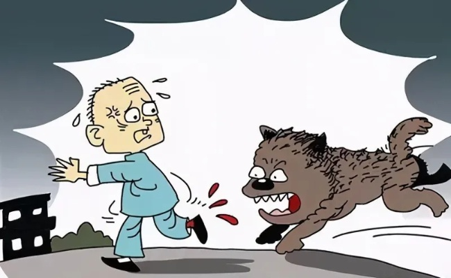 狗咬人怎么办？别慌！律师教你3步维权，关键证据别漏掉！