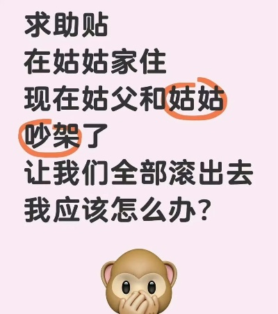 现在怎么办