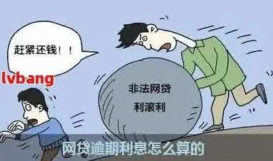 网贷逾期罚息会无限上涨吗？资深律师揭开利滚利真相！