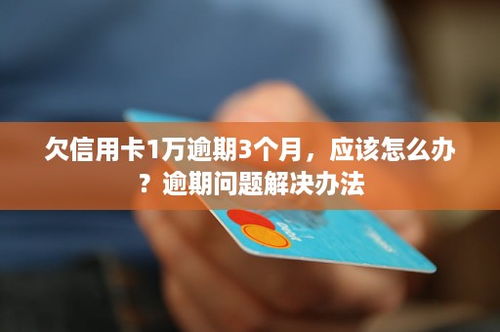 信用卡逾期快1年，我该怎么办？