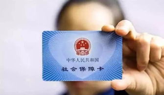 公司今年不交社保吗？员工该如何保护自己的权益？