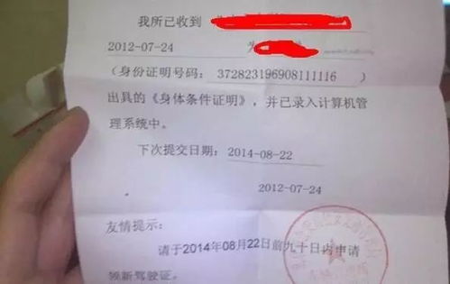 就业证明在手，社保却不交？这背后隐藏着什么法律隐患？
