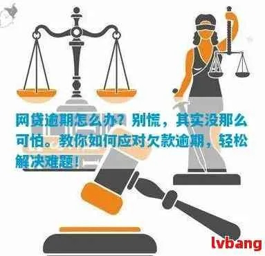 借网贷逾期半个月怎么办？专业人士教你化解危机！