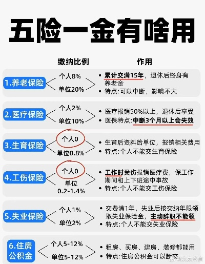五险一金到底怎么查？手把手教你保护自己的钱袋子！