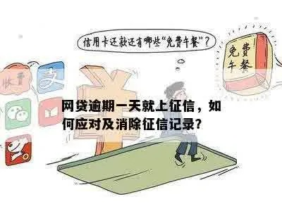网贷逾期5天就上征信？别慌！律师教你正确应对