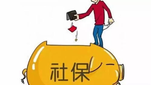 不交社保算逃税吗？资深律师为你揭秘