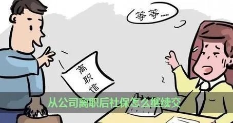离职当月社保交不交？资深律师为你解析