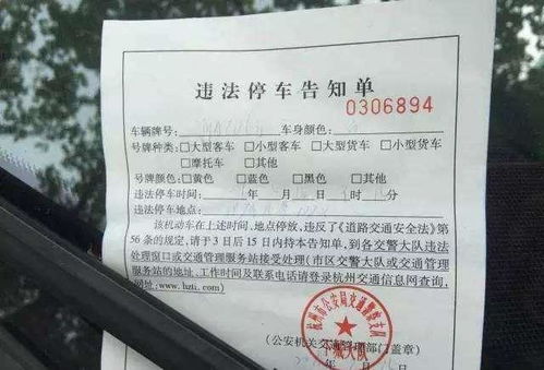 网上交罚单到底靠不靠谱？手把手教你避坑！
