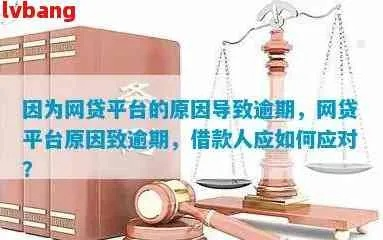 网贷小额度逾期，对公司到底有什么影响？