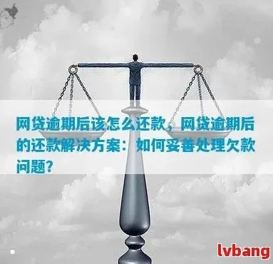 网贷逾期了怎么办？这份妥善解决方案请收好！