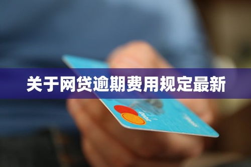 银川市网贷逾期要多少钱？逾期费用详解及法律风险