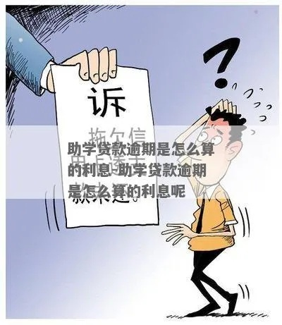助学贷款逾期1年，我该怎么办？资深律师的暖心指南