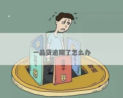 一品贷逾期一年了，我该如何应对？