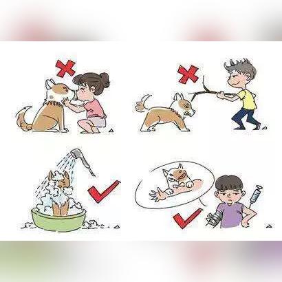 被狗咬了必须打狂犬疫苗吗？这些救命细节90%的人都不知道！
