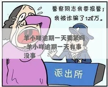 羊小咩逾期一年了，我该怎么办？