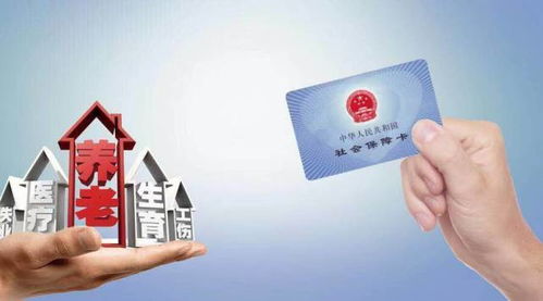 文员不交社保，真的能省钱吗？