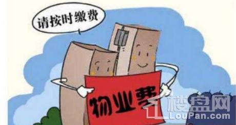 装修公司不交社保，你的权益被隐形剥夺了吗？